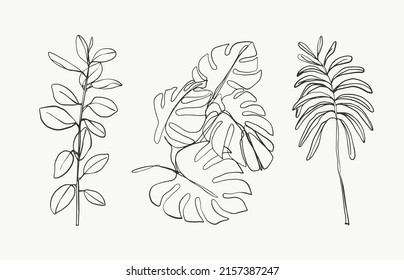 Tropical palm monstera line leaves and botanical leaves art. beautiful hand drawn exotic plants on white background. abstract modern or minimal plants line for posters. vector design.