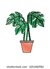 tropical palm in pot interior decoration
