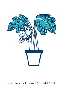 tropical palm in pot interior decoration