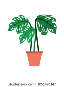 tropical palm in pot interior decoration