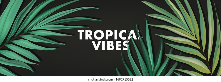 Tropical palm reaistic leaves in vector. Exotic rainforest botanical design for cosmetics, spa, perfume, health care products, aroma, wedding invitation. Summer advertising web banner.