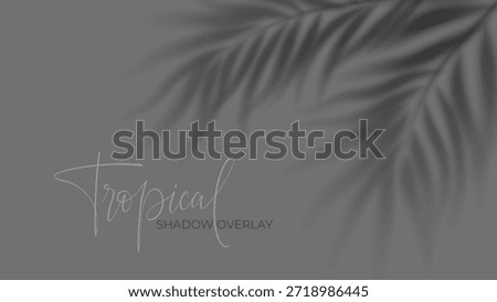 Tropical palm shadow overlay on white background with soft sunlight effect. Realistic leaf silhouette creates natural summer shade for design projects and posters.