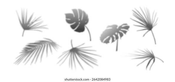 Tropical palm shadow overlay set with realistic leaf silhouettes - monstera and fan shapes creating natural shade patterns for minimalist design backgrounds, photography effects or summer presentation