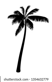 Tropical palm silhouette. Black palm tree silhouette. Vector illustration isolated on white background. 