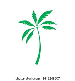 Tropical palm silhouette. Vector illustration isolated on white background