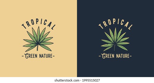 Tropical palm for surfing t-shirt print. Exotic hawaii summer plant for tropic surf design