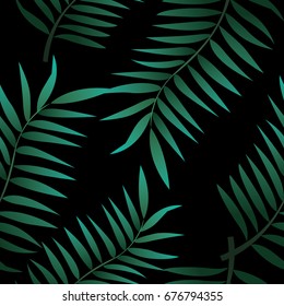 Tropical palm tree