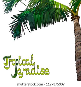 Tropical palm tree background. Vector illustration EPS10