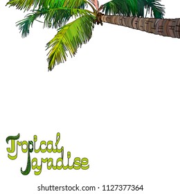 Tropical palm tree background. Vector illustration EPS10