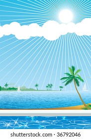 Tropical palm tree beach 