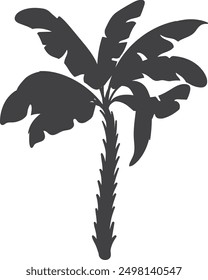 Tropical palm tree black silhouette. Beach plant