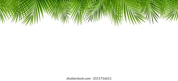 Tropical Palm Tree Border Isolated White Background With Gradient Mesh, Vector Illustration