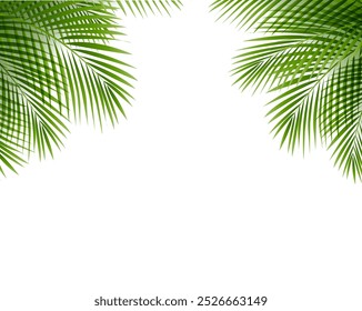 Fondo blanco aislado del borde de la palmera tropical con la malla del gradiente, Ilustración vectorial