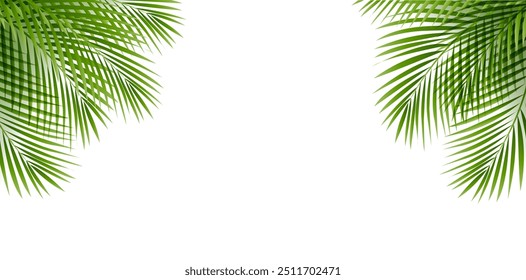 Tropical Palm Tree Border With White Background Gradient Mesh, Vector Illustration