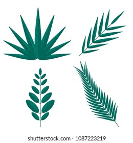 Tropical palm tree branches. Set of green decorative elements in flat style showing different shapes of leaves.