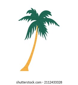 Tropical palm tree cartoon icon or symbol. Emblem of African or Latin country, hot tropical climate plant, flat vector illustration isolated on white background.