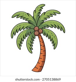tropical palm tree with clusters of brown coconuts vector art isolated white