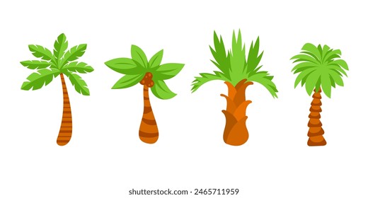 Tropical palm tree. Tropical coconut trees on white background.