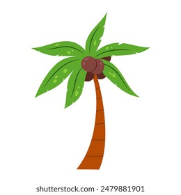 
Tropical palm tree with coconuts on a white background. Tropical plants. Cartoon palm tree in flat style.