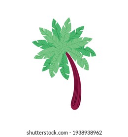 exotische Tropenpalme einzeln