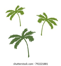 Tropical palm tree. Flat style vector illustration