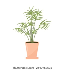 Tropical palm tree in a flower pot. Vector illustration of a houseplant, flat style.
