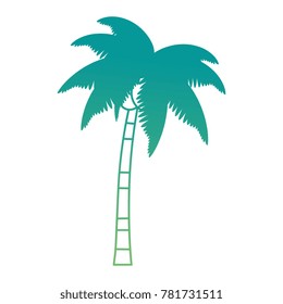 tropical palm tree icon