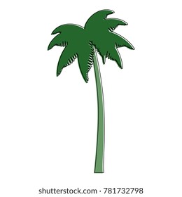 tropical palm tree icon