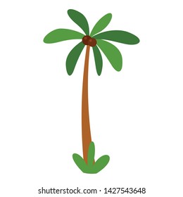 Tropical palm tree icon. Flat illustration of tropical palm tree vector icon for web design