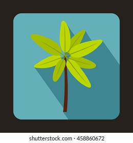 Tropical palm tree. icon in flat style on a baby blue background