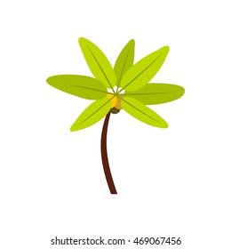 Tropical palm tree icon in flat style isolated on white background. Flora symbol
