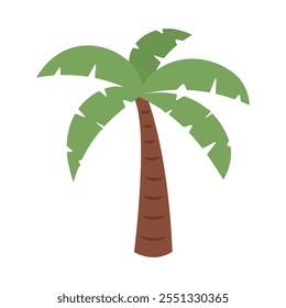 tropical palm tree icon isolated