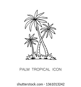 Tropical Palm Tree Icon. Vector Illustration. Line Sketch Graphic Style. 