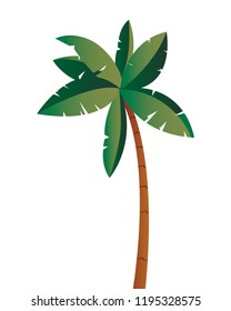 tropical palm  tree isolated design