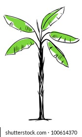 Tropical Palm Tree Isolated on White Background, Vector Illustration