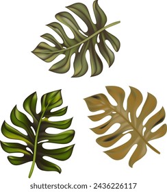 Tropical palm tree jungle leaves vector set. Leaf natural of jungle, colorful exotic leaves branch illustration. Eps 10