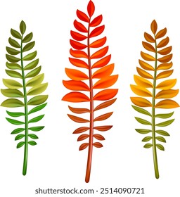 Tropical palm tree jungle leaves vector set. Leaf natural of jungle, colorful exotic leaves branch illustration. Eps 10