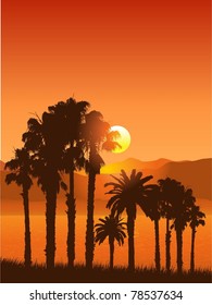 Tropical palm tree landscape