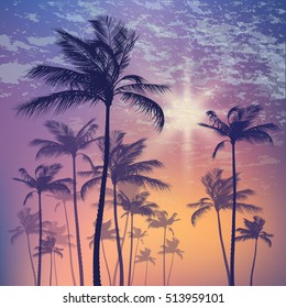 Tropical palm tree landscape and sunset sky. Vector illustration