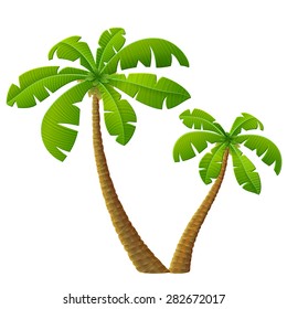 Tropical palm tree with leaves. Group of beach plants. Qualitative vector illustration for travel concept, southern nature, resort, tropical flora, beach, etc