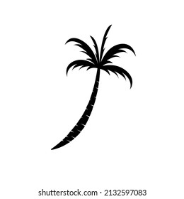 Tropical palm tree with leaves icon isolated on white background. Vector illustration
