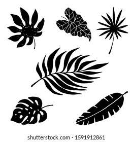 Tropical, palm tree leaves set, branch. Black silhouettes isolated on white background, icon, logo design