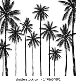 Tropical palm tree on white background, Vector design