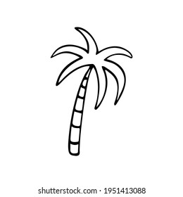 Tropical Palm tree outline sketch, doodle, vector icon isolated o white background.