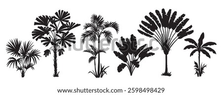 Tropical palm tree set. Collection of monochrome graphic silhouettes. Abstract botanical elements isolated on a white background. 