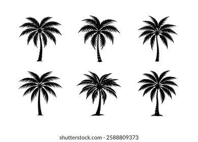 Tropical palm tree set vector image