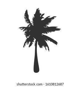 Tropical palm tree silhouette. Stock Vector illustration isolated on white background.