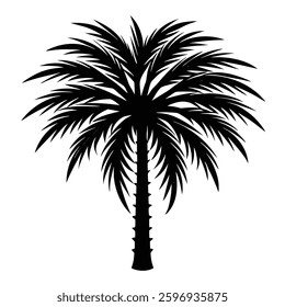  tropical palm tree silhouette vector 