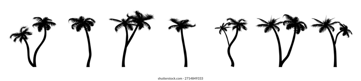 El conjunto de bocetos de palmeras tropicales presenta una silueta negra realista de palmeras aisladas sobre un fondo blanco. Ilustración vectorial.
