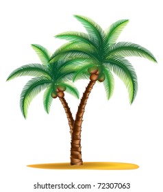 tropical palm tree standing on a small island vector